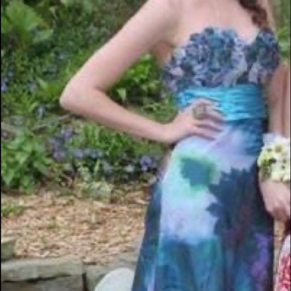 Prom Dress - Picture 3 of 3